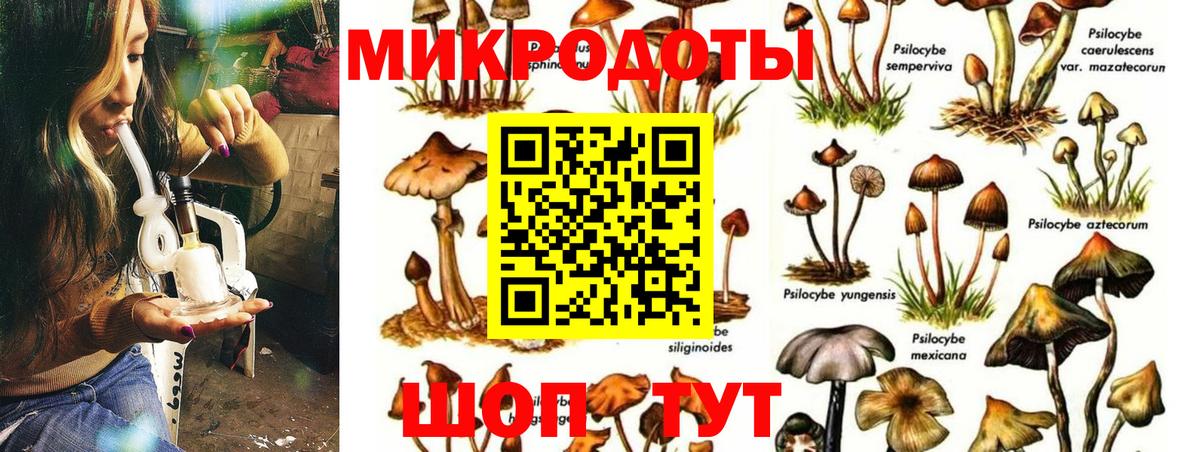 Галлюциногенные грибы ЛСД Кольчугино