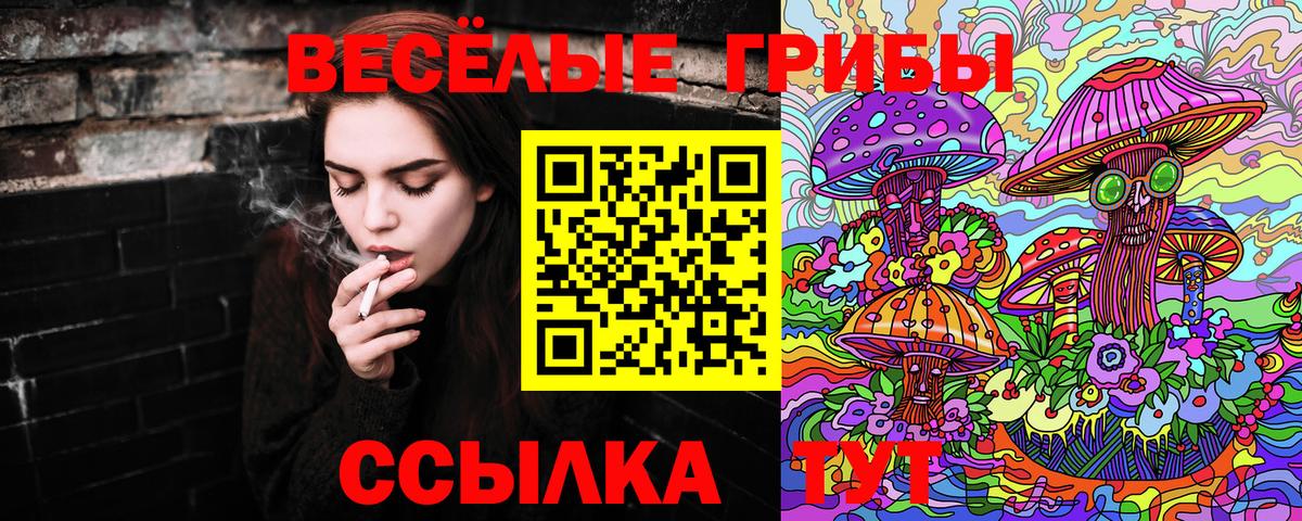 Галлюциногенные грибы Cubensis  Вход с VPN  Кольчугино  Галлюциногенные грибы прущие грибы 